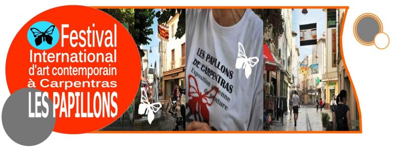 Festival Les Papillons : 22 Juin - 31 Août 2013